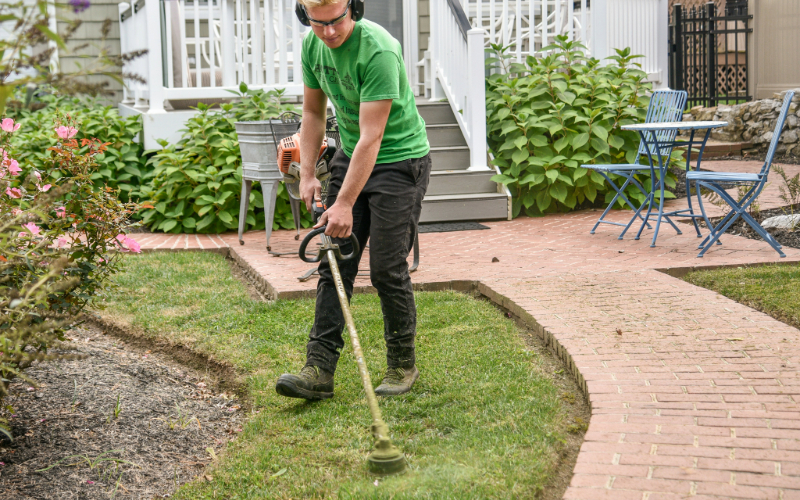 hiring lawn experts