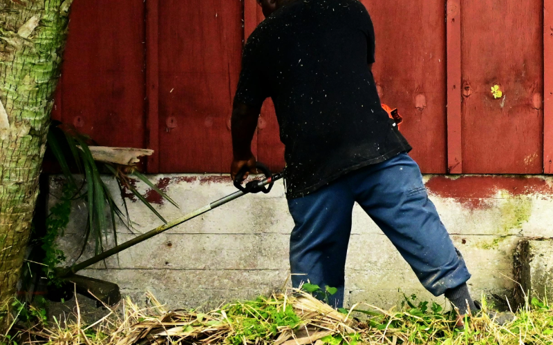 hiring the best landscaper