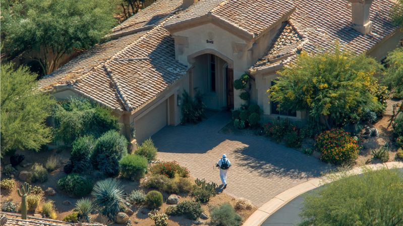 Building a Pest Management Mindset From the Start